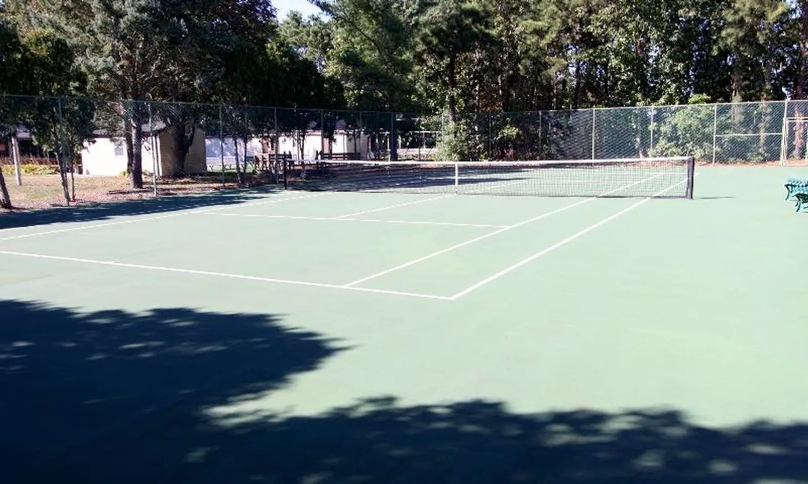 Regulation tennis and pickleball courts surrounded by green fencing and trees